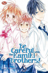 Be Careful With The Kamiki Brothers Vol. 3